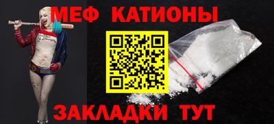 индика Камышлов