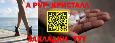 мдпв Кингисепп