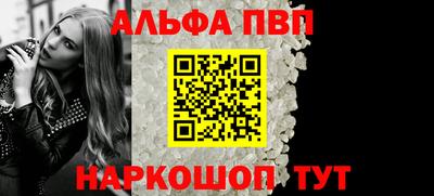 индика Камышлов