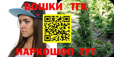индика Камышлов