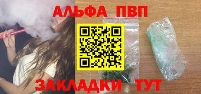 индика Камышлов