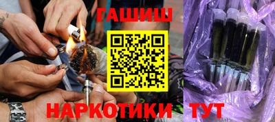 индика Камышлов