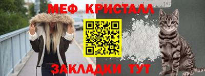 индика Камышлов